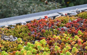 the cost of Crofts green roof installation