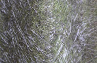 Crofts fibreglass roof work